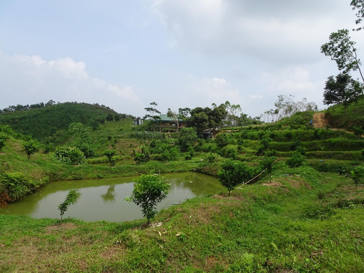 Thac Ba Family Homestay Ho To Esterno foto